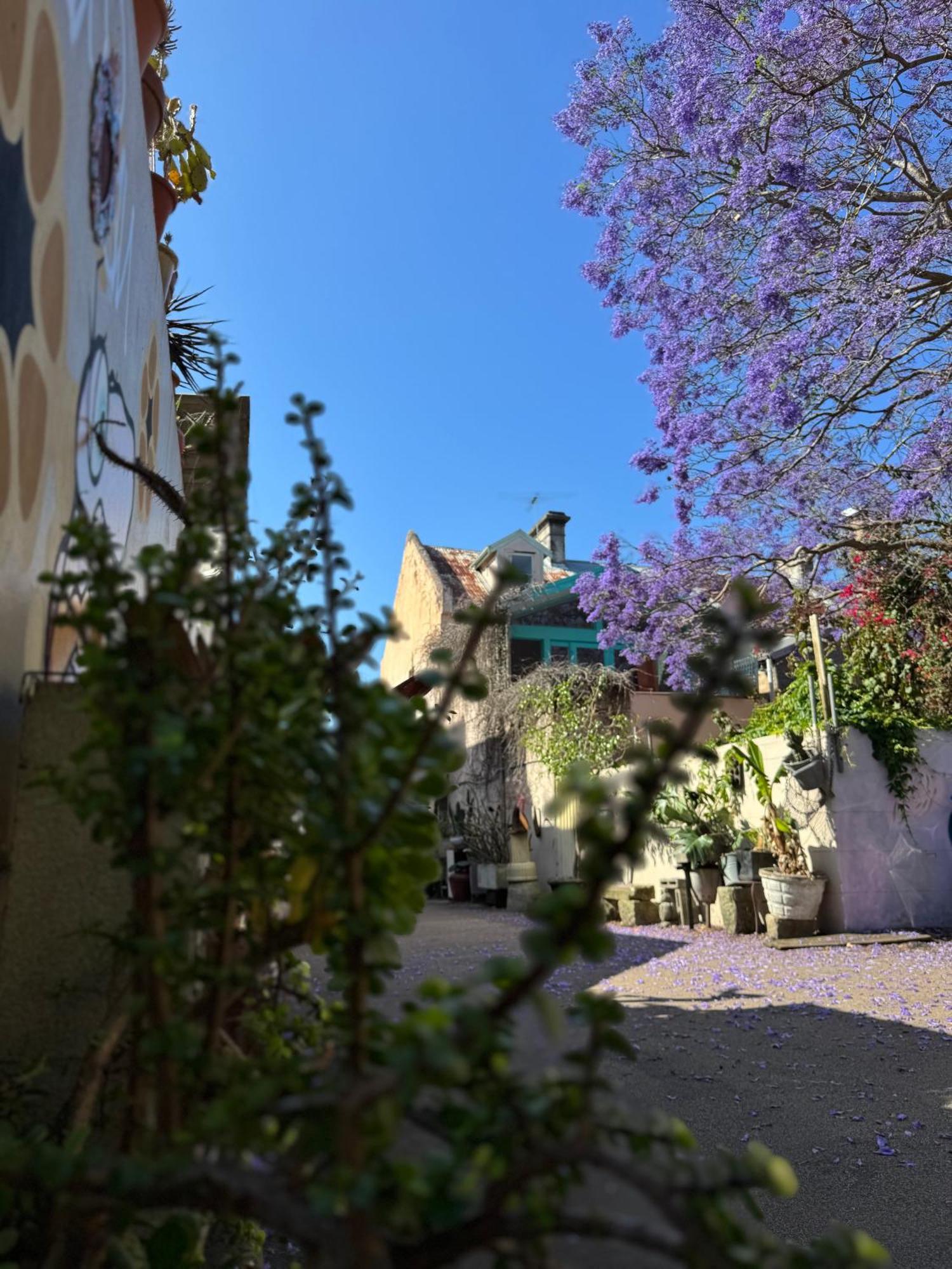 Lil Darling Hostel Sydney Exterior photo